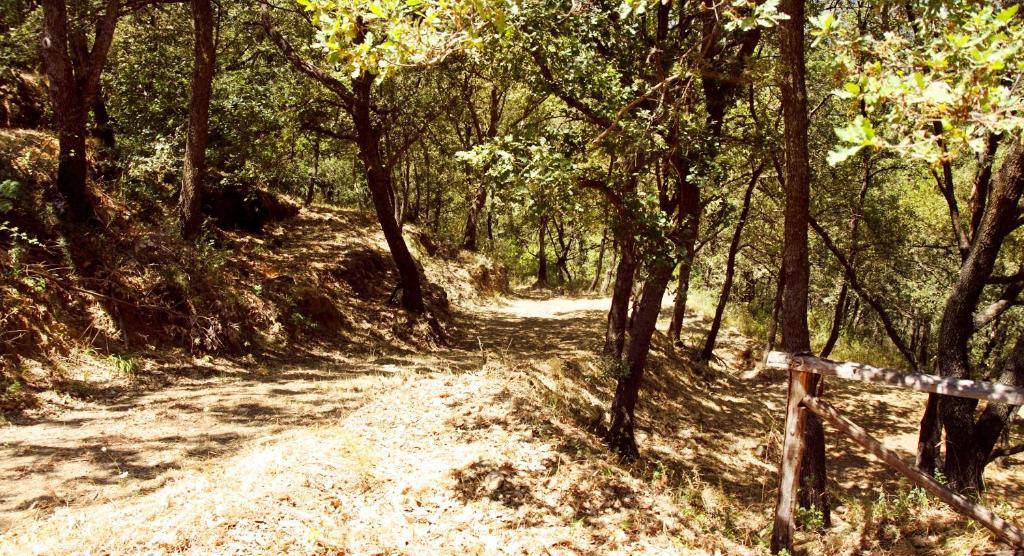Le Oreadi Francavilla di Sicilia Esterno foto